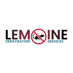 Logo Lemoine Services